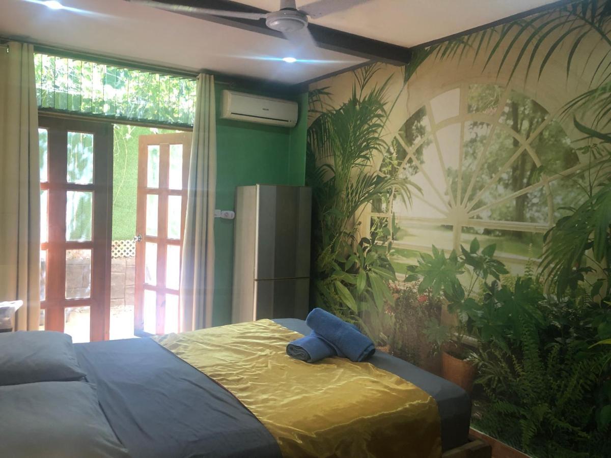 Toucan House * Coco